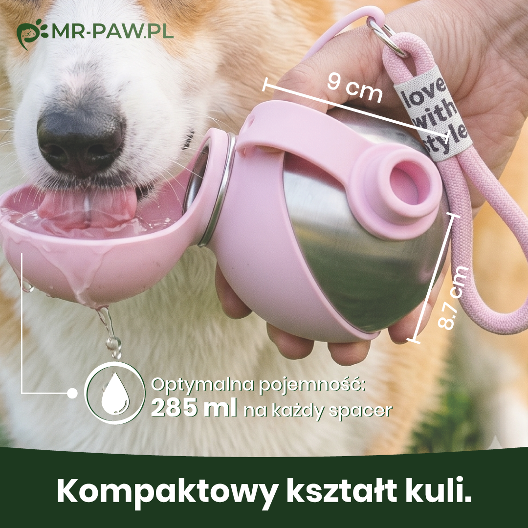 Kuleczka