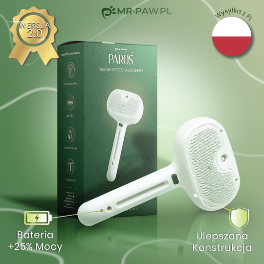 Paruś
