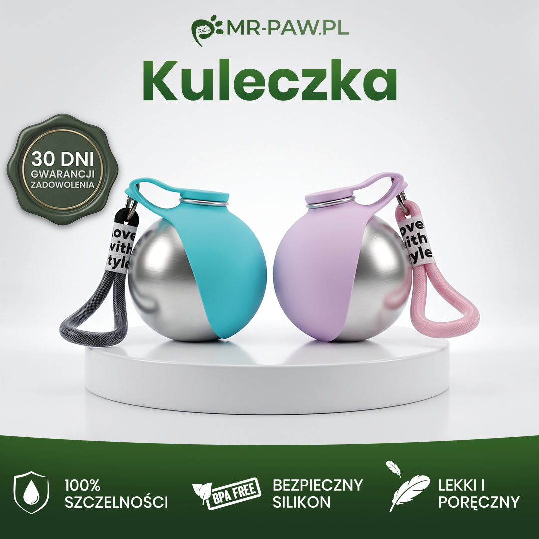 Kuleczka