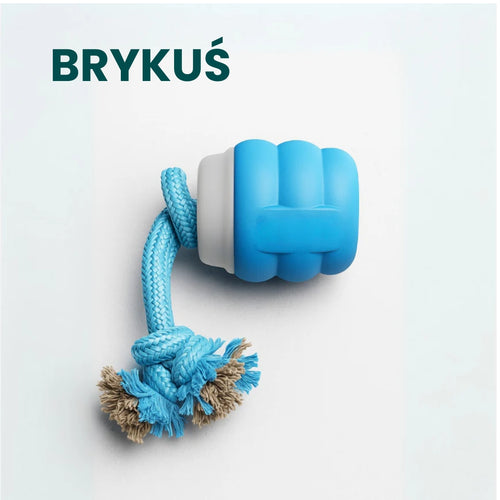 Brykuś