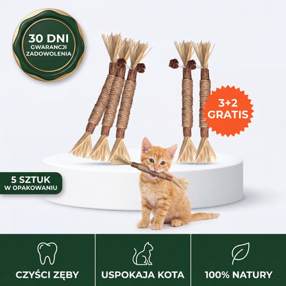 Gryzcio