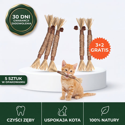 Gryzcio