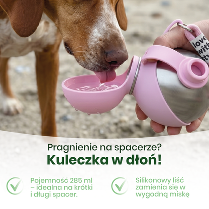 Kuleczka