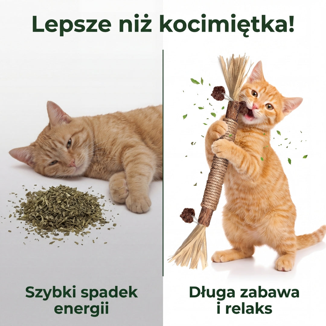 Gryzcio