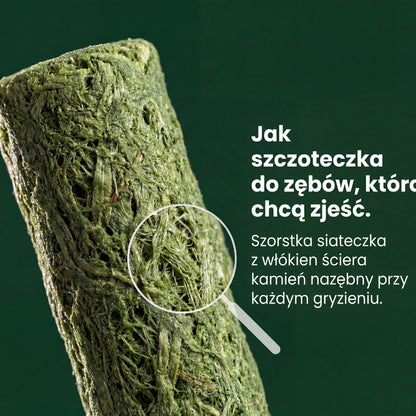 Pyszne Gryzaczki