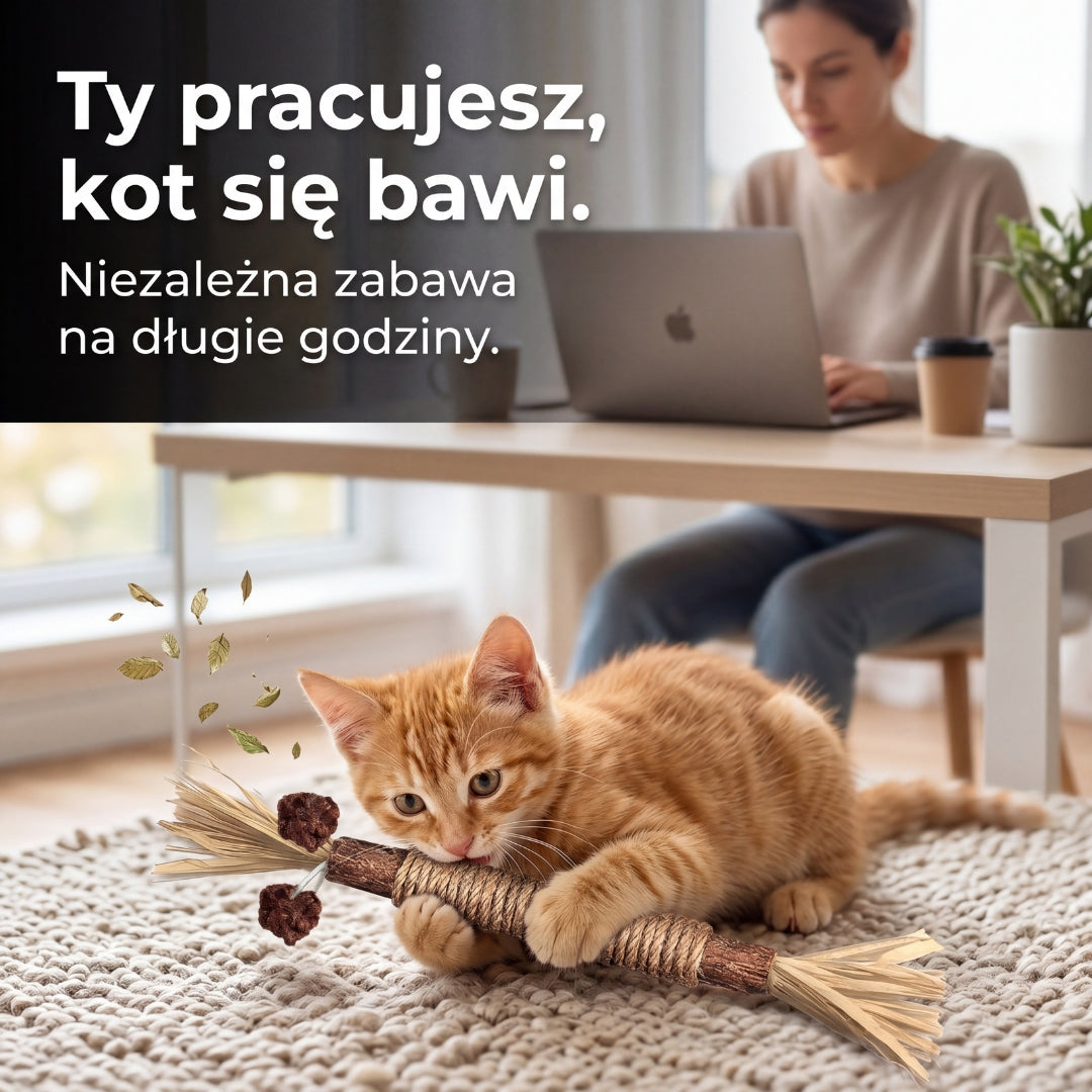 Gryzcio