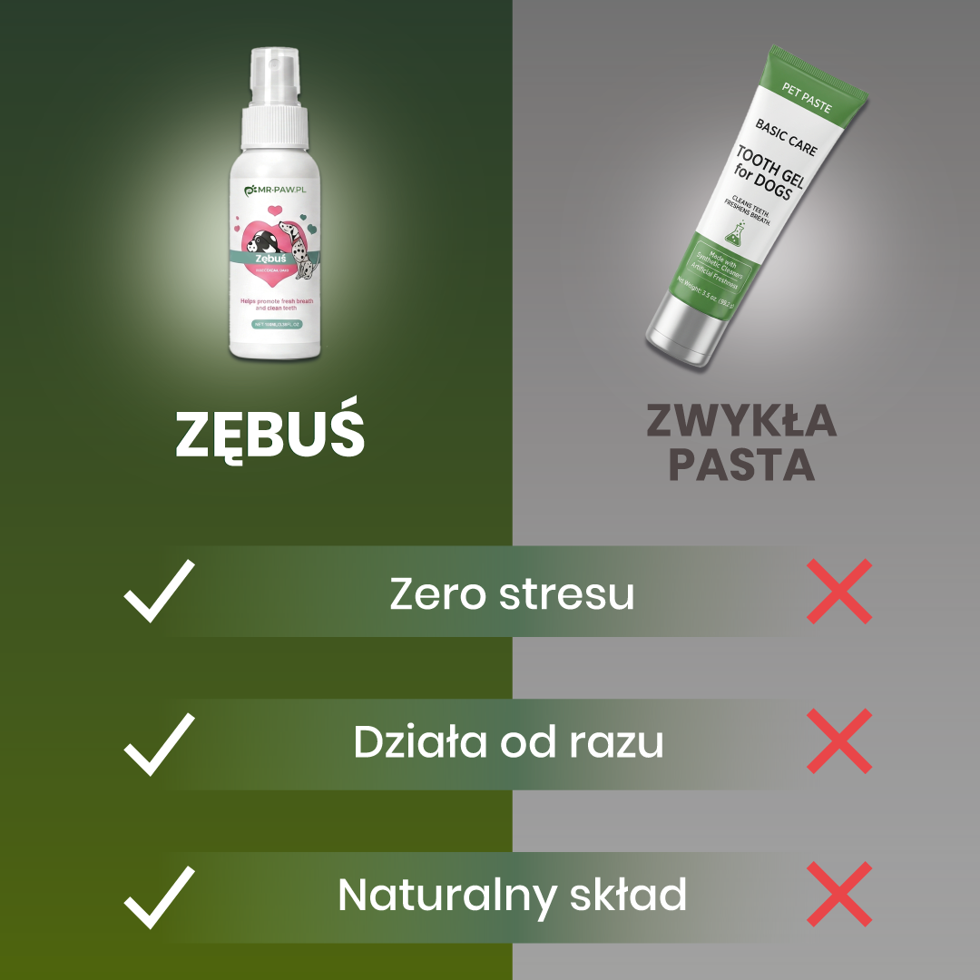Zębuś