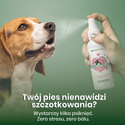 Zębuś