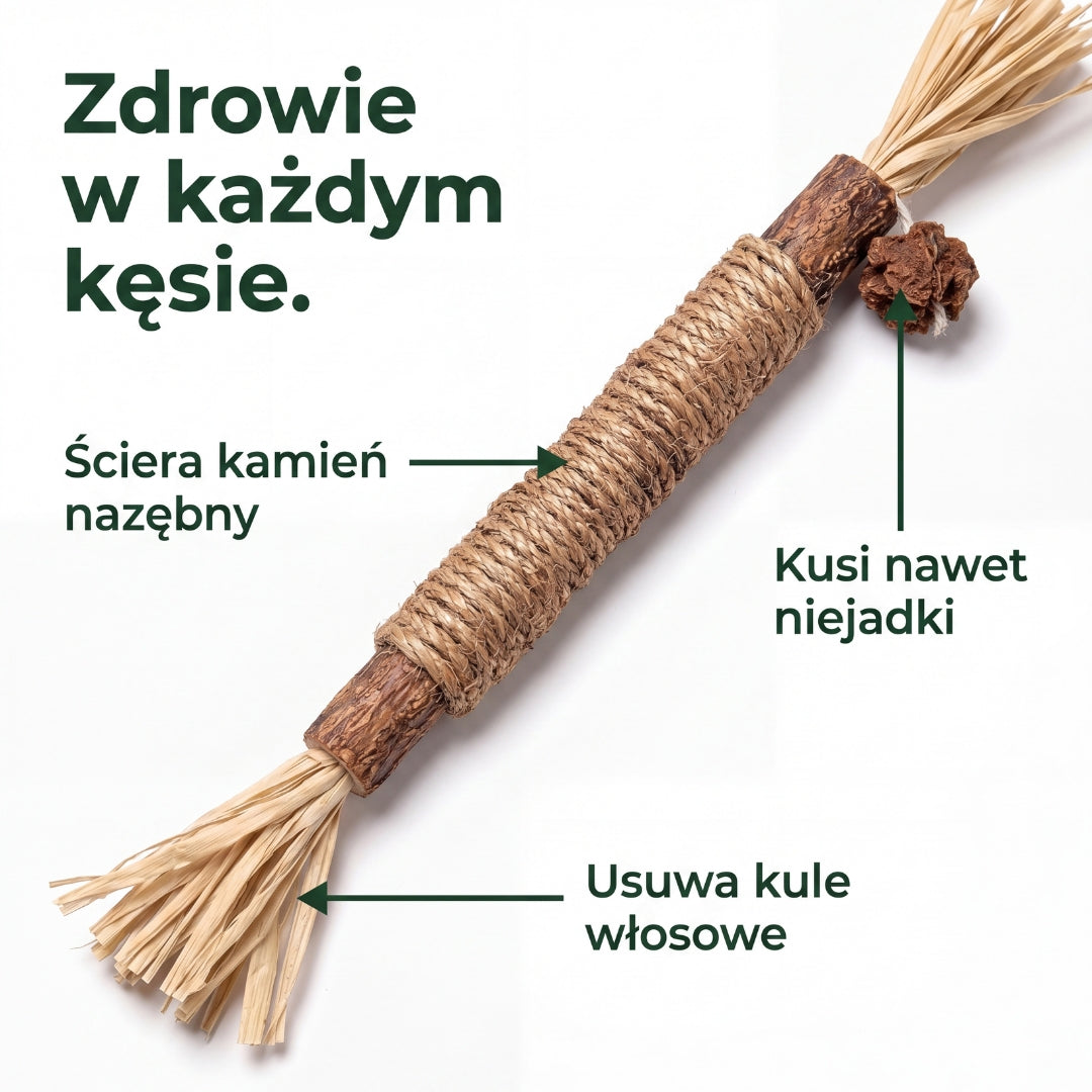 Gryzcio