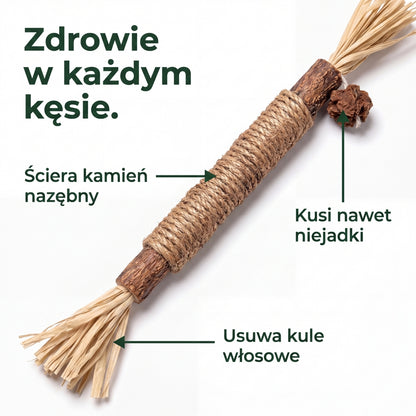 Gryzcio