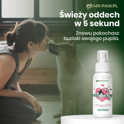 Zębuś