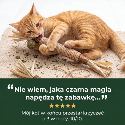 Gryzcio